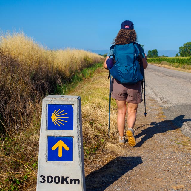 Visita nuestra tienda del Camino de Santiago